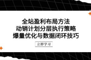 【第9427期】全站盈利布局方法：动销计划分层执行策略，爆量优化与数据闭环技巧