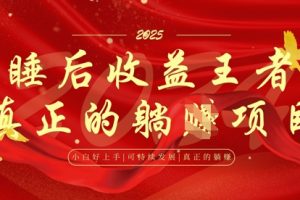 【第9281期】面试辅导项目，每月被动收益，自己做老板，全流程AI化，轻松月入过W+