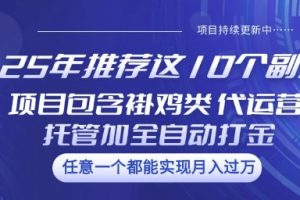 【第9100期】25年10个副业项目包含褂鸡类、代运营托管类、全自动打金类【揭秘】