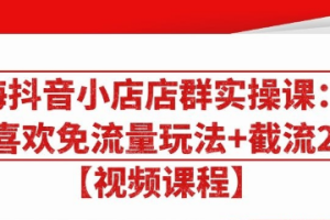 【副业2144期】大海抖音小店店群实操课：免费流量玩法+截流2.0