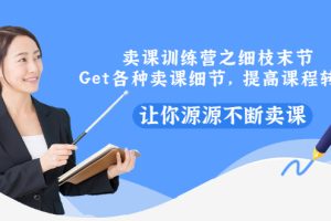 【副业3320期】卖课程赚钱吗：卖教程赚钱技巧训练营，源源不断卖课赚钱