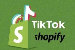 【第6778期】TikTok全案短视频+独立站，包括：建立域名、产品上架