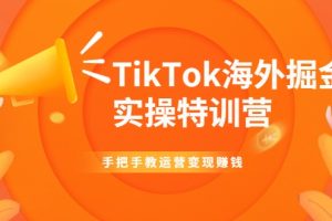【副业2371期】TikTok海外掘金实操特训营：运营变现赚钱【视频课】