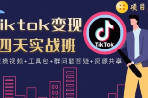 【1952期】实战课tiktok变现四天连怼技术+矩阵玩法赚,单账号月入2000美金(实操视频)