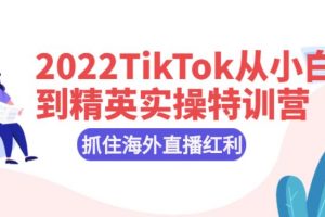 【副业2834期】2022最新TikTok从小白到精英实操核心技术