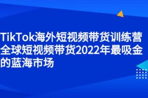 【副业2795期】TikTok全球短视频带货2022年最吸金的蓝海市场