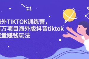 【副业2673期】tiktok怎么赚钱：百万项目海外版抖音tiktok流量赚钱玩法！