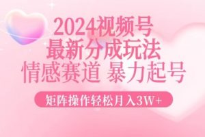 【第8424期】2024最新视频号分成玩法，情感赛道，暴力起号，矩阵操作轻松月入3W+