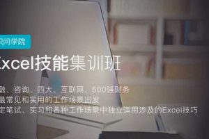 【第9273期】职问-excel技能集训营