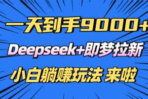 【第9049期】日入9000+！Deepseek+即梦拉新，新手躺赚攻略来啦！