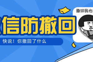 【副业3161期】微信多开怎么弄：智微VX多开防撤回助手，免扫码登录（永久电脑版+教程）