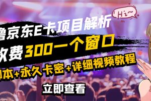【副业3209期】月入一万的隐形副业：京东E卡自动挂机项目，日入500+【永久版脚本+操作教程】