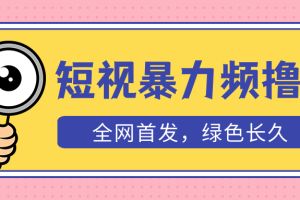 【第4639期】TK赚钱教程：外面收费1680的TK短视频暴力撸金，日入300+长期可做