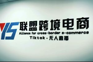 【副业4375期】Tiktok怎么赚钱：不出镜不剪辑不拍摄不发货无售后，Tiktok无人直播短视频躺赚教程