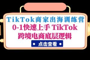 【副业4218期】TikTok商家运营出海训练营：0-1快速上手 TikTok跨境电商底层逻辑