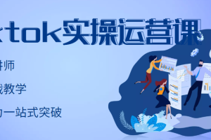 【副业3336期】tiktok如何赚钱：TikTok实操运营账号实战，适合零基础Tiktok新人