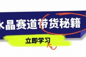 【第9331期】水晶赛道带货秘籍，国学结合、短视频起号、拍摄技巧、直播话术等内容