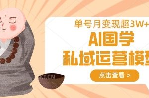 【第9234期】AI国学私域运营模型，单号月变现过W