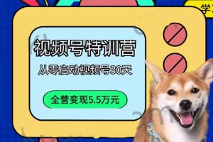 【副业2257期】一行视频号特训营-从零运营视频号30天变现5.5万