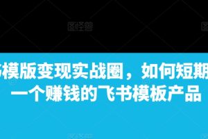 【第8774期】飞书模版变现实战圈，如何短期搭建一个赚钱的飞书模板产品
