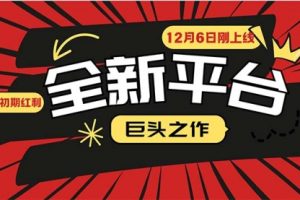 【第8751期】又一个全新平台巨头之作，12月6日刚上线，小白入局初期红利
