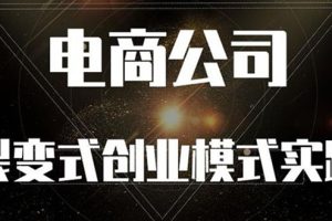 【副业2980期】电商创业机会《电商公司裂变式创业模式实践》