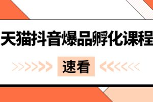 【副业2950期】《天猫抖音爆品孵化课程》最新天猫爆品+短视频+直播打造玩法