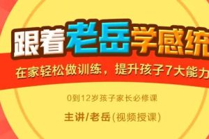 【副业2875期】老岳讲感统+21天感统训练营+品牌早教机构感统全套视频讲义