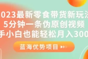 【第6002期】2023最新零食带货新玩法，5分钟一条伪原创视频，新手小白也能轻松月入3000+【揭秘】