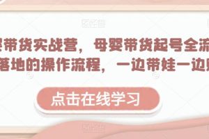 【第4851期】母婴号怎么运营：母婴带货实战营，母婴带货起号全流程落地实操（附素材）