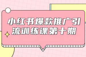 【副业1986期】小红书爆款推广引流训练课第十期，手把手带你玩转小红书，轻松月入过万