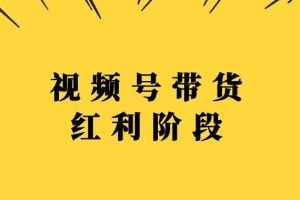 【副业3325期】视频号带货赚钱吗：盗坤-视频号带货训练营，复制搬运赚钱（附电商公园文件）