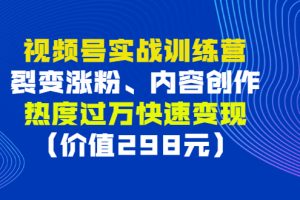 【副业3194期】视频号怎么推广涨粉：实战视频号裂变涨粉、内容创作、快速变现