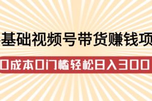 【副业2853期】视频号带货怎么玩：零基础视频号带货赚钱项目，零门槛日入300+