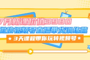 【副业3522期】视频号怎么直播带货：3天课程带你玩转视频号，7月新课价值3980（全套视频）