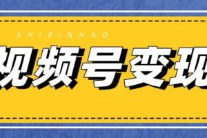 【副业3405期】如何在视频号上带货:《4天涨粉2849,视频号引流+带货方案》