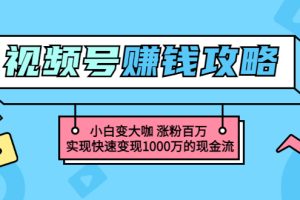 【副业3386期】如何用视频号赚钱：玩转微信视频号，快速变现副业赚钱