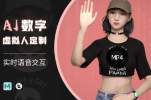 【第9056期】Ai数字人虚拟(智能体)实时语音交互特训营，​自行定制超写实角色AI数字人交互技术
