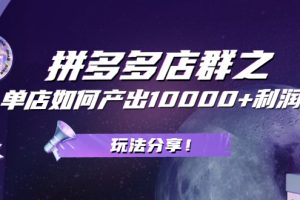 【副业2519期】拼多多店群玩法：如何单店产出10000+利润