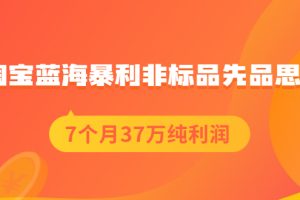 【副业2513期】淘宝蓝海暴利非标品选品思路：7个月37万纯利润，压箱干货分享！