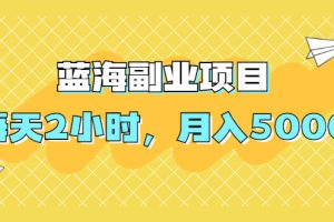 【副业2402期】蓝海副业项目：每天2小时，月入5000，附详细操作流程