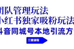 【副业2343期】团队管理玩法+小红书独家吸粉玩法+抖音同城号引流方法（三套课程）