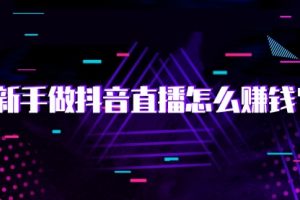 【副业2049期】抖音直播电商实战训练营-全套方法揭秘