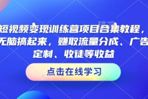 【第8976期】AI短视频变现训练营项目合集教程，直接无脑搞起来，赚取流量分成、广告、定制、收徒等收益