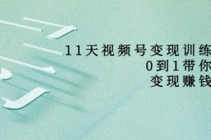 【副业3695】如何做视频号赚钱：11天从0到1打造视频号变现赚钱系统