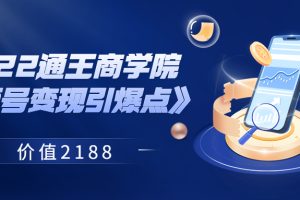 【副业3668】微信视频号如何变现:2022通王商学院《视频号变现引爆点》 价值2188