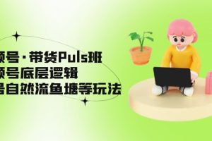 【第4382期】视频号带货怎么做：视频号底层逻辑，起号自然流鱼塘玩法，视频号·带货Puls实战班