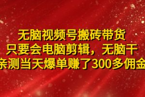 【副业4271期】视频号搬运怎么赚钱：当天爆单赚了300多佣金，无脑视频号搬砖带货