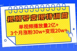 【副业4038期】如何做视频号赚钱：3个月涨粉30w+变现20w+，20天视频号变现特训营