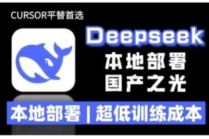 【第8959期】2025年deepseek R1 大型模型本地安装部署(文件+教程)本地部署，超低训练成本